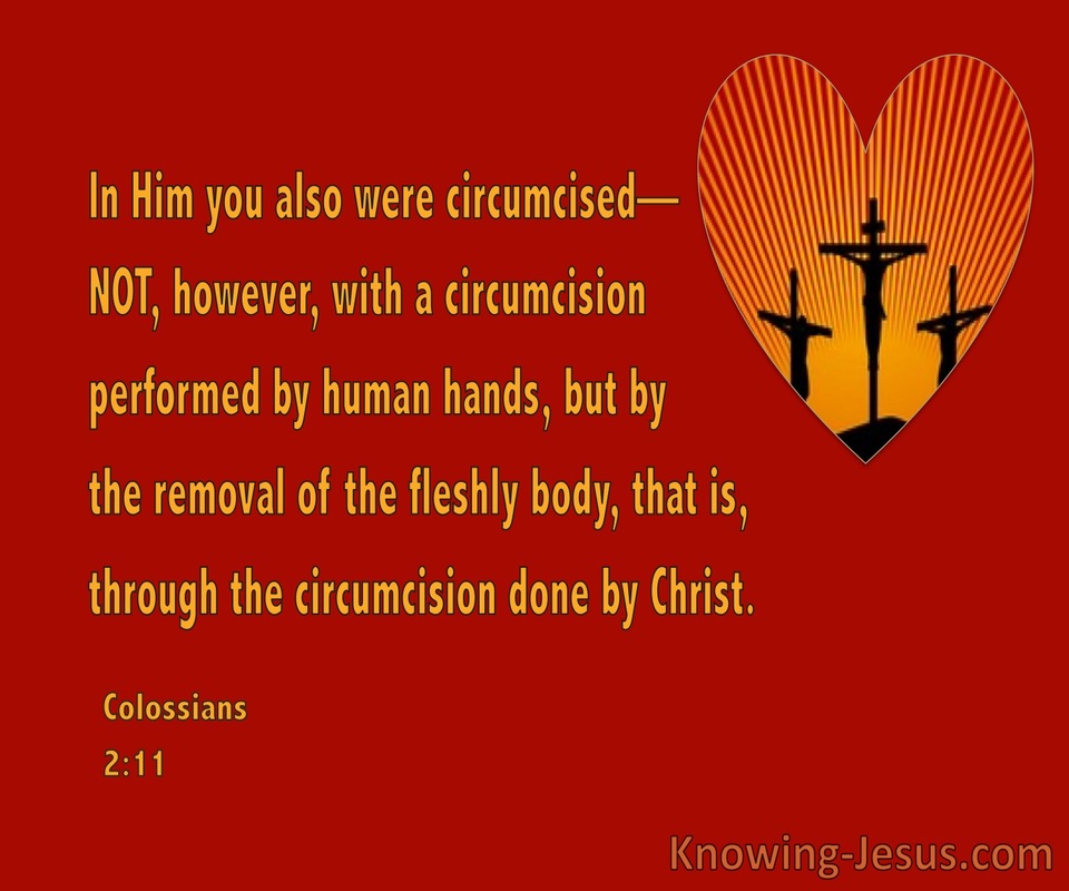 Colossians 2:11 Circumcision Of The Heart (red)